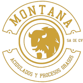 Logo Montana